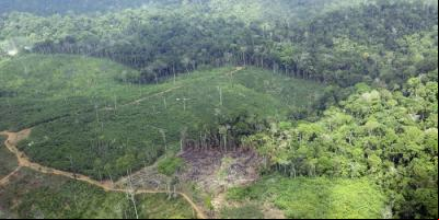 Área recentemente desmatada na Terra Indígena Cachoeira Seca do Iriri (PA), campeã do desmatamento entre 2012 e 2015 | Juan Doblas